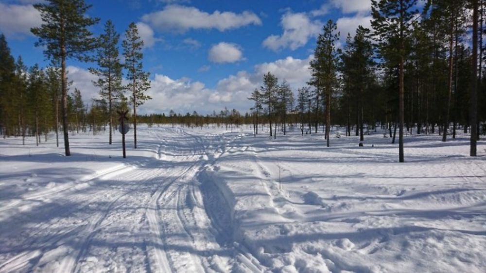 Voyage multi-activités en Laponie finlandaise chez l'habitant - Joh et Max