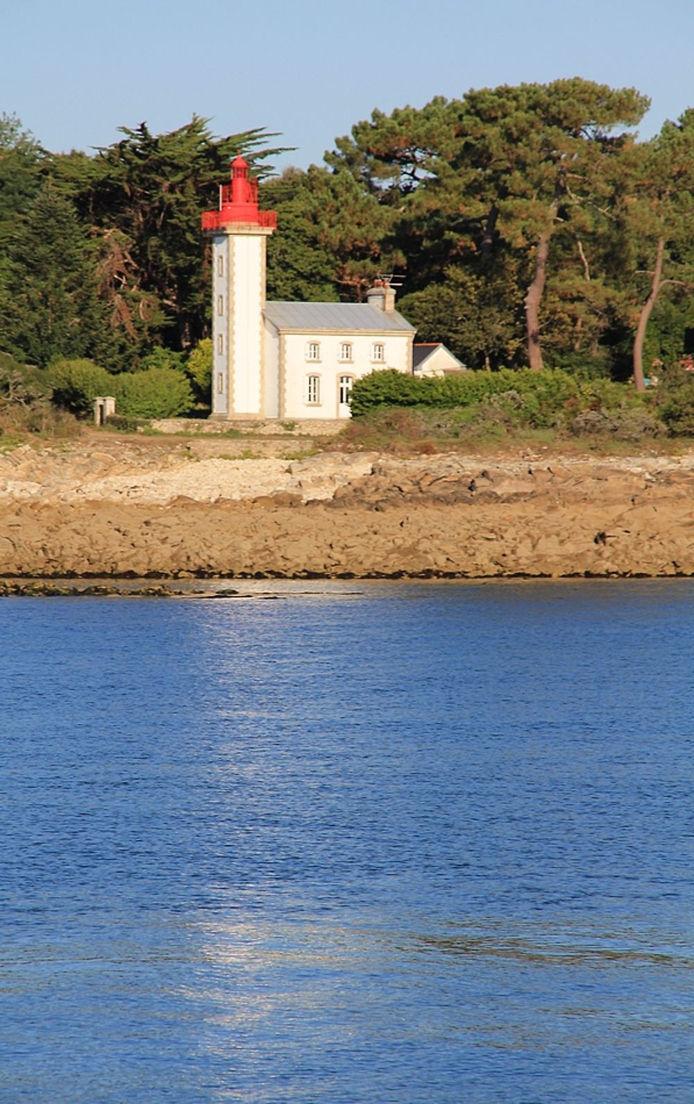 Re: Souvenirs d’escapades en Bretagne, principalement dans le sud du Finistère. (seconde partie)  De Concarneau … aux îles des Glénan. - jem