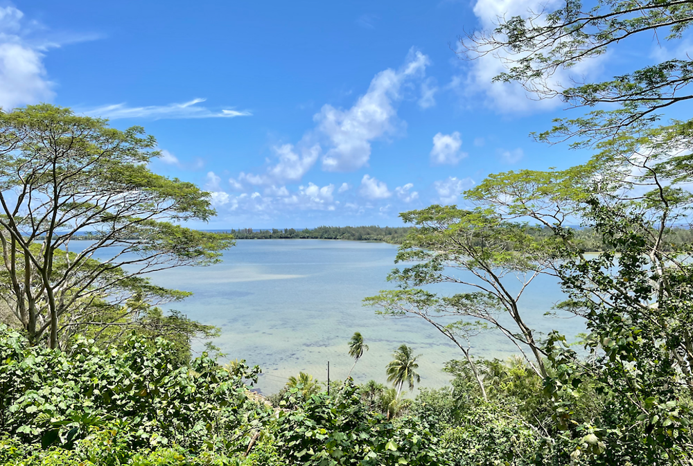 Retour de POLYNÉSIE : HUAHINE (1) - PATOUTAILLE