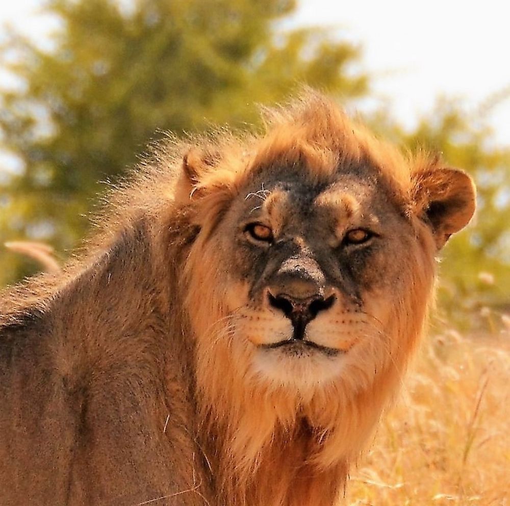 Re: Namibie Juin 2018 - Un Voyage Fabuleux  (Début)   - Iznogoed