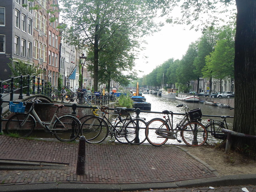 Cyclotourisme au Pays-Bas en famille, du 16 août au 21 août 2021 - claire91