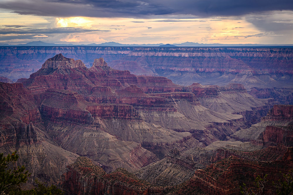 Jeudi 11 août (suite) : Grand Canyon North Rim - darth