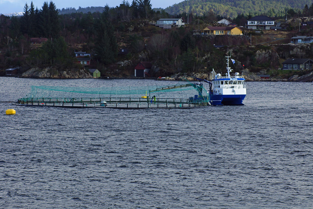 Express Côtier BERGEN / KIRKENES / BERGEN - cartesien