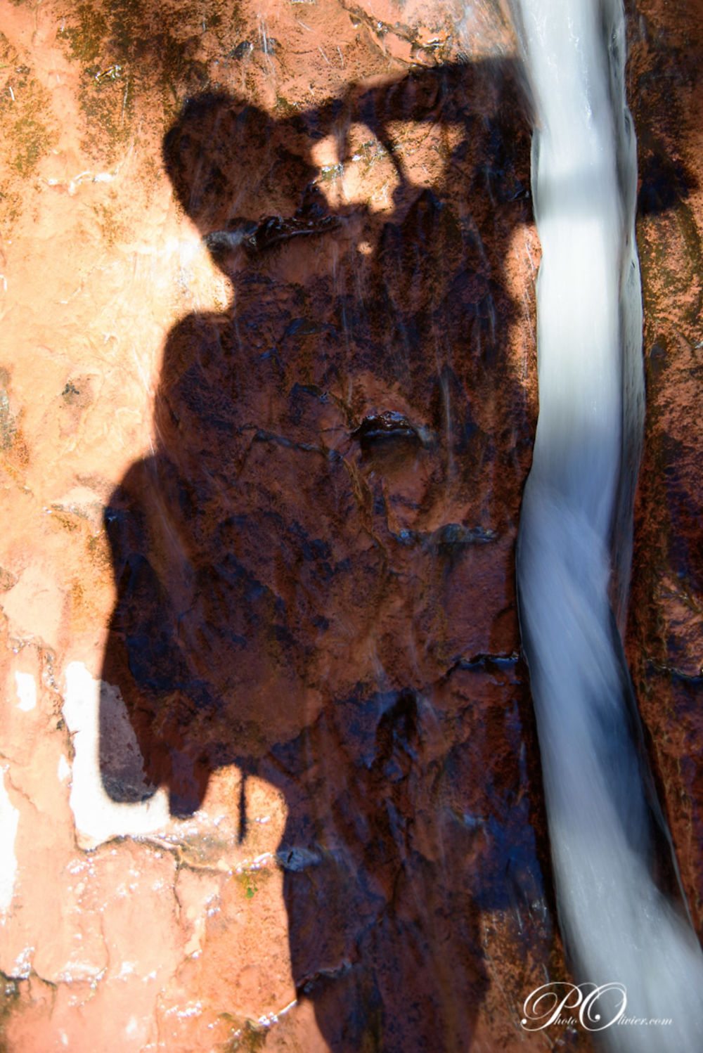 The Subway (Zion NP Wilderness) - darth