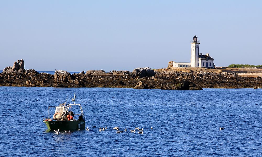 Re: Souvenirs d’escapades en Bretagne, principalement dans le sud du Finistère. (seconde partie)  De Concarneau … aux îles des Glénan. - jem