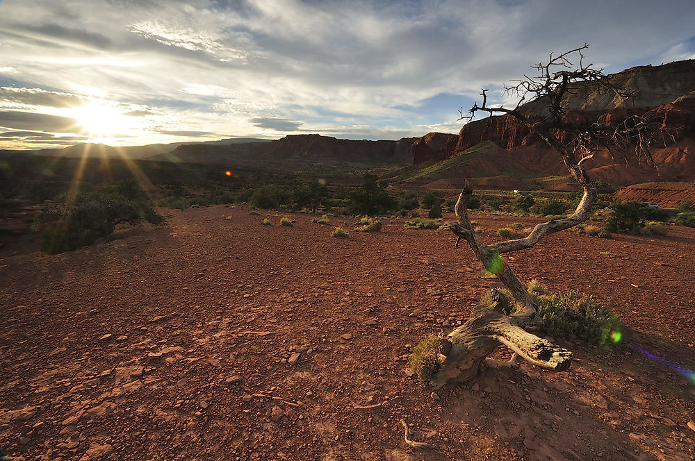 Mercredi 5 août : (suite) Capitol Reef - darth