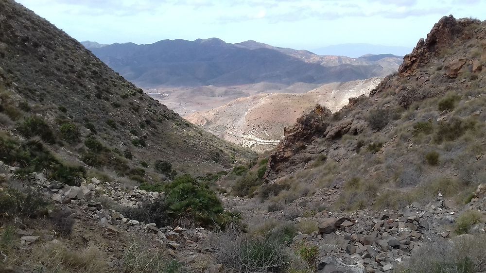 Re: L'Andalousie en février : Malaga, Cabo de Gata (suite du carnet de voyage) - Mercuri63 Re: L'Andalousie en février : Malaga, Cabo de Gata (suite du carnet de voyage) - Mercuri63