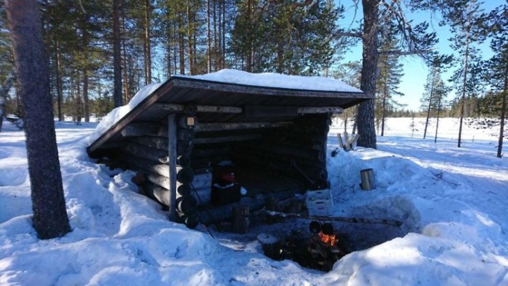 Voyage multi-activités en Laponie finlandaise chez l'habitant - Joh et Max