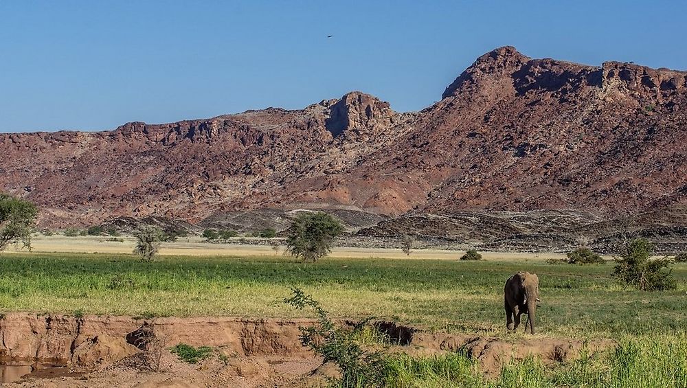 Namibie Juin 2018 - Un Voyage Fabuleux ( suite) - Iznogoed