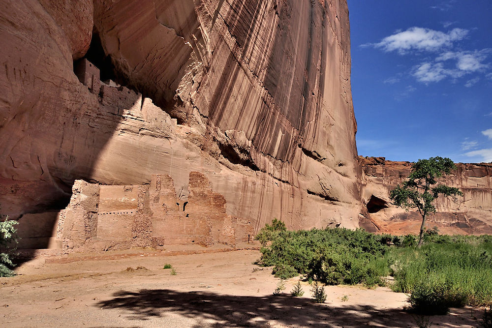 Vendredi 31 Juillet : Canyon De Chelly (suite) - darth