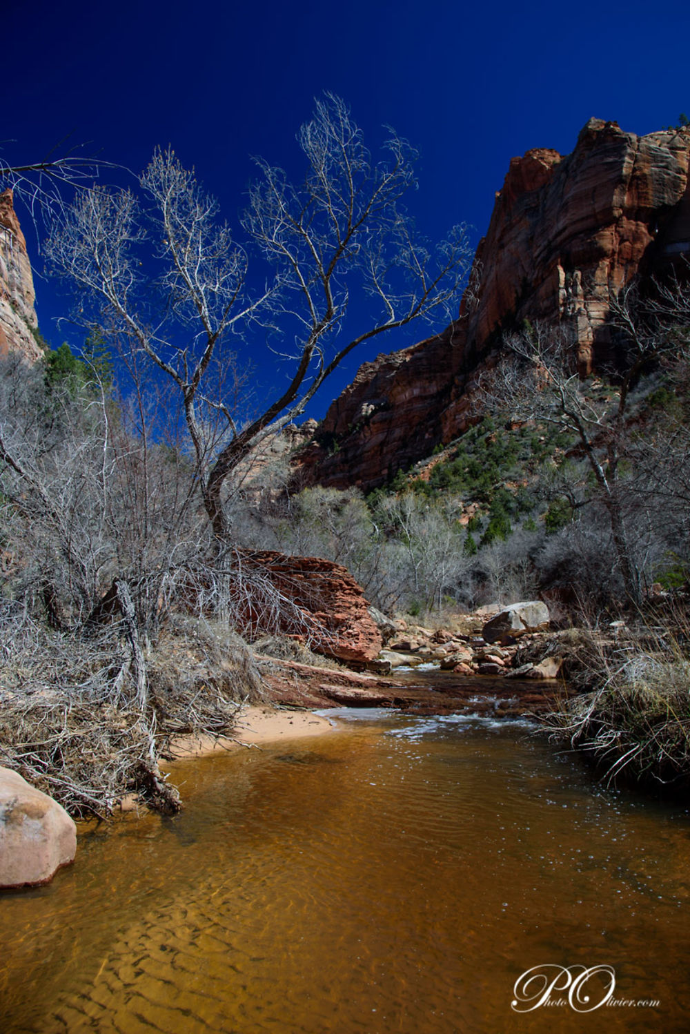 The Subway (Zion NP Wilderness) - darth