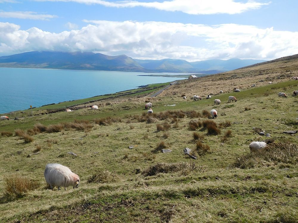 west Cork and Kerry - bounty22