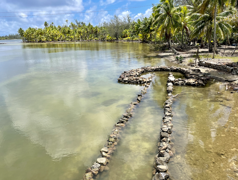 Retour de POLYNÉSIE : HUAHINE (1) - PATOUTAILLE