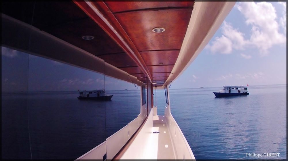 Effet Miroir :-) in board !! - Philomaldives Guide Maldives Effet Miroir :-) in board !! - Philomaldives Guide Maldives