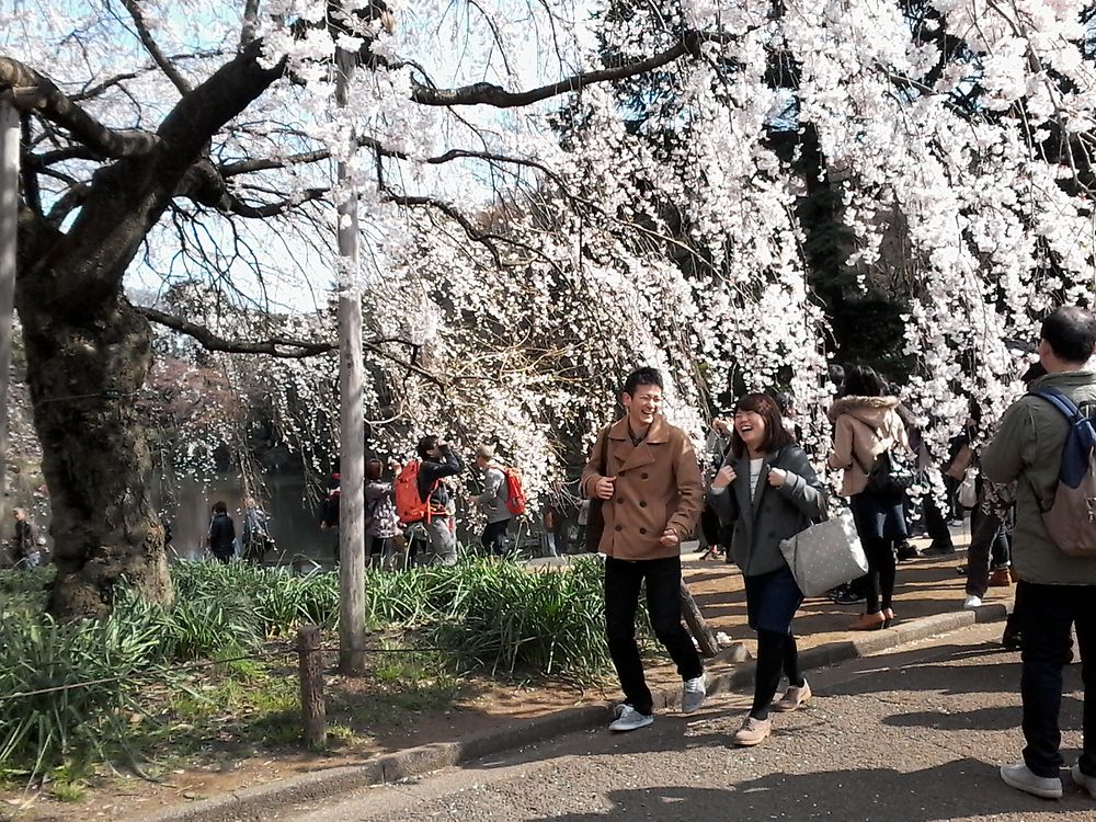 Re: Notre premier voyage au Japon (16 jrs) - quinqua voyageuse