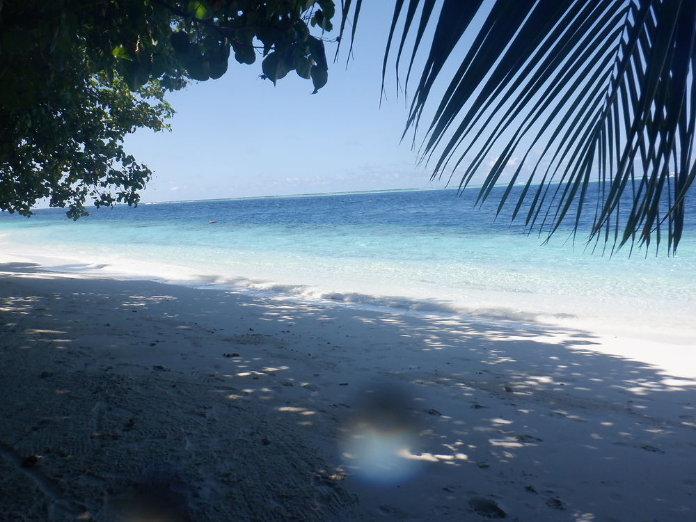 Re: Météo dans l'archipel des Maldives ( Sur 12 mois ) - Audreydu54