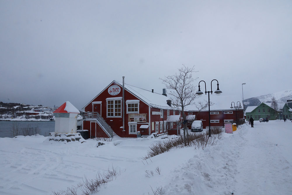 Express Côtier BERGEN / KIRKENES / BERGEN - cartesien