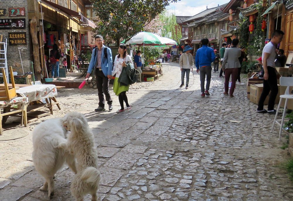 Le triangle Naxi : Baïsha, Shuhe, Lijiang. (2) - PATOUTAILLE