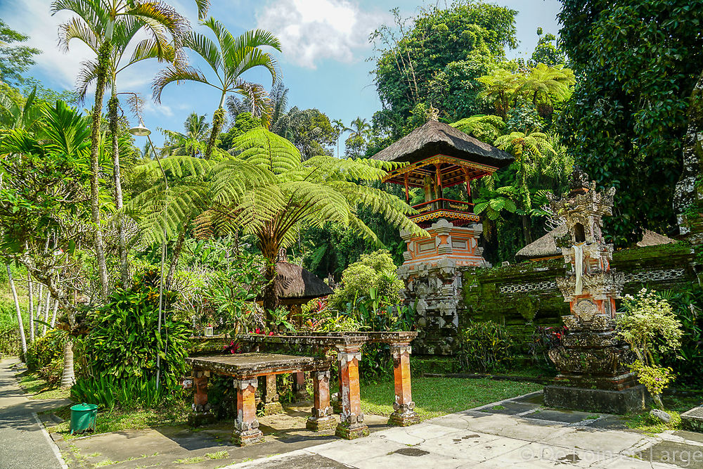 Bali - 3 semaines - Ubud - Pemuteran - Munduk - Amed - Gili Meno - Jimbaran - tfab