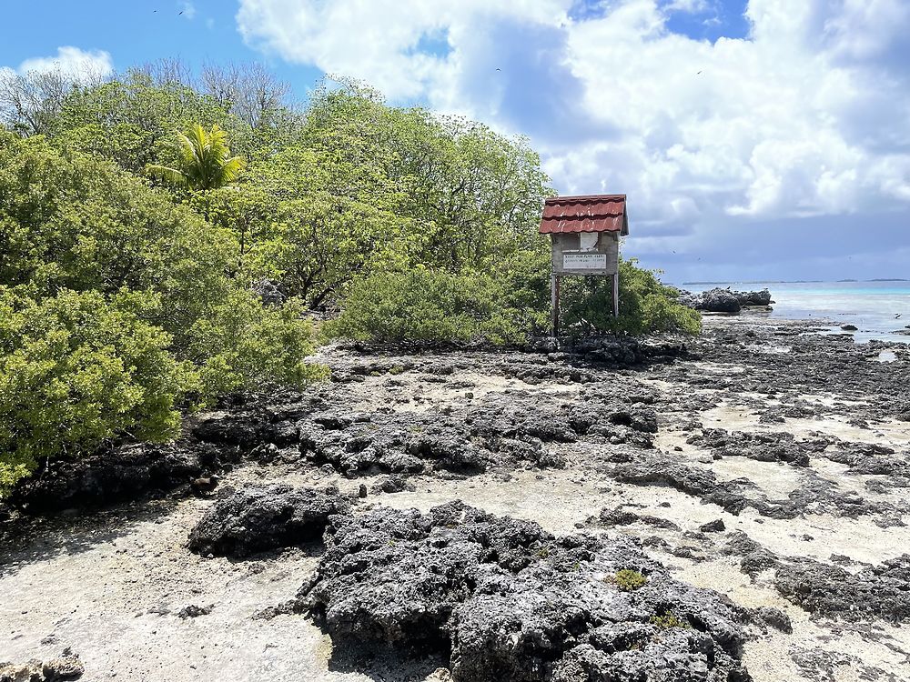 Retour de POLYNÉSIE : TIKEHAU (2) - PATOUTAILLE