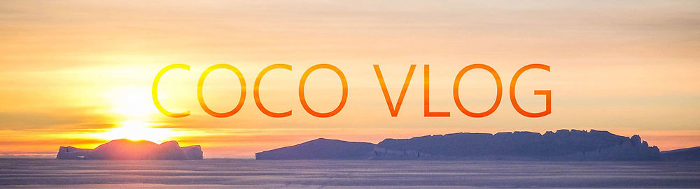 Antarctique : Blog vidéo expat (VSC) - Coco le Roux