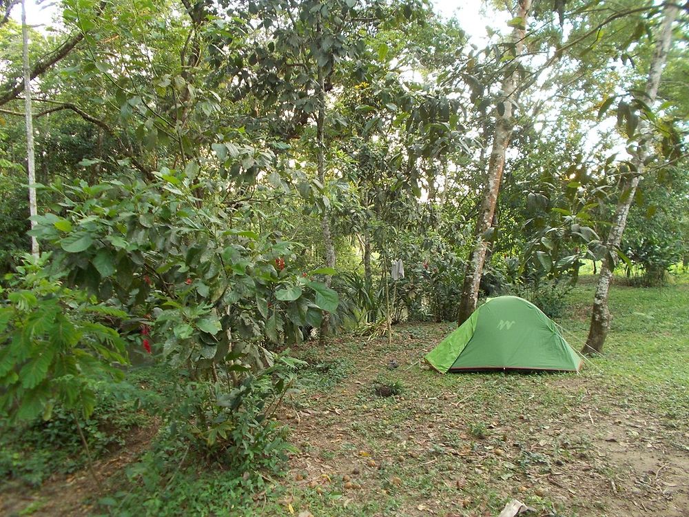 En passant par Palenque - 3 jours de camping au Chiapas (Mexique) - Aymee