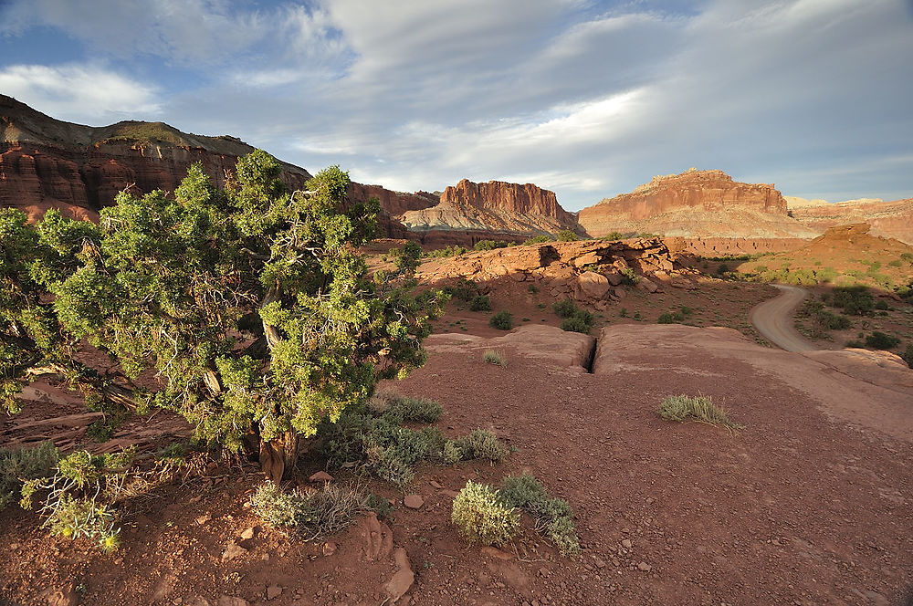 Mercredi 5 août : (suite) Capitol Reef - darth