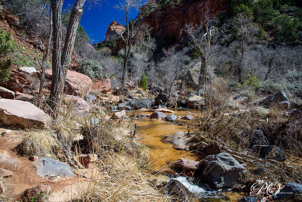 The Subway (Zion NP Wilderness) - darth