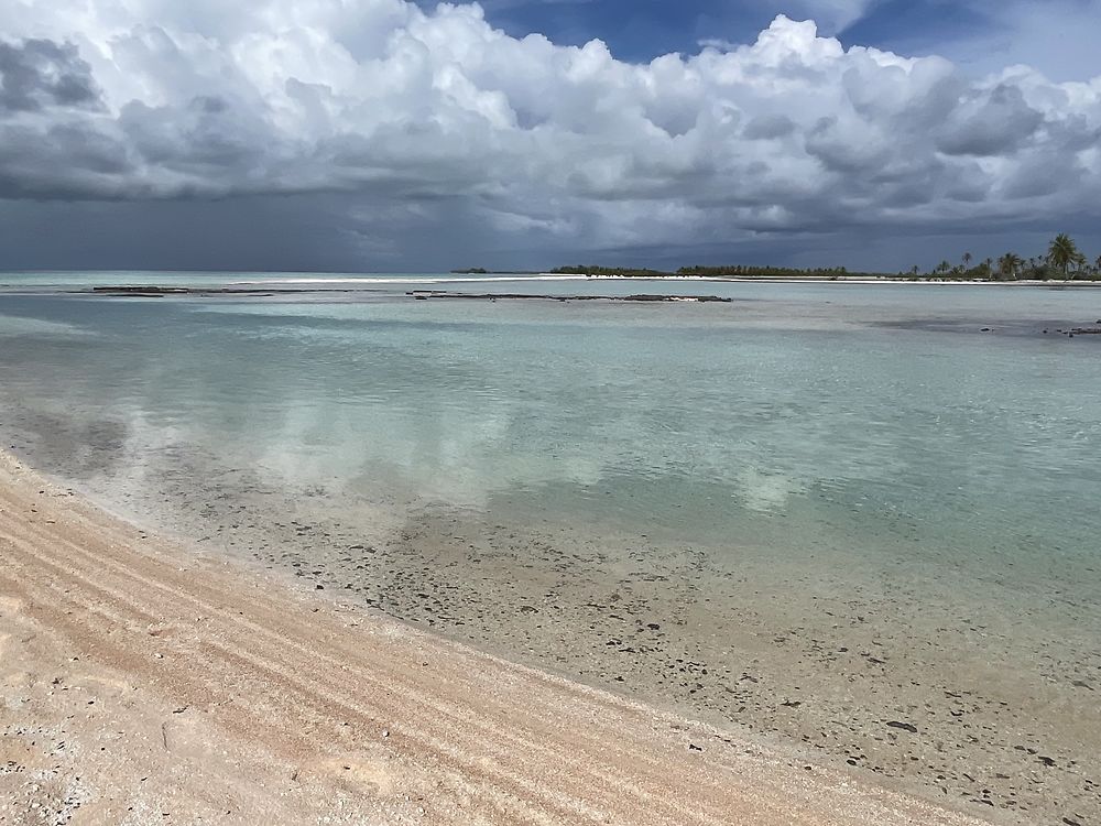 Retour de POLYNÉSIE : TIKEHAU (2) - PATOUTAILLE