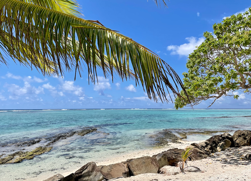 Retour de POLYNÉSIE : HUAHINE (2) - PATOUTAILLE