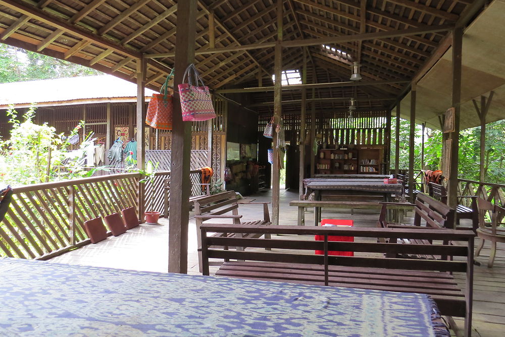 Dans la jungle de Batang Aï (suite) - PATOUTAILLE