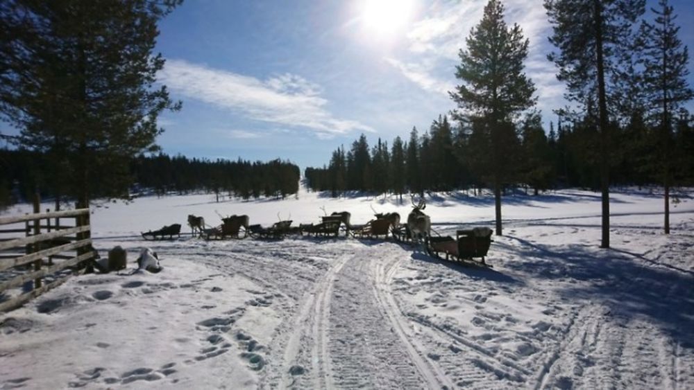 Voyage multi-activités en Laponie finlandaise chez l'habitant - Joh et Max