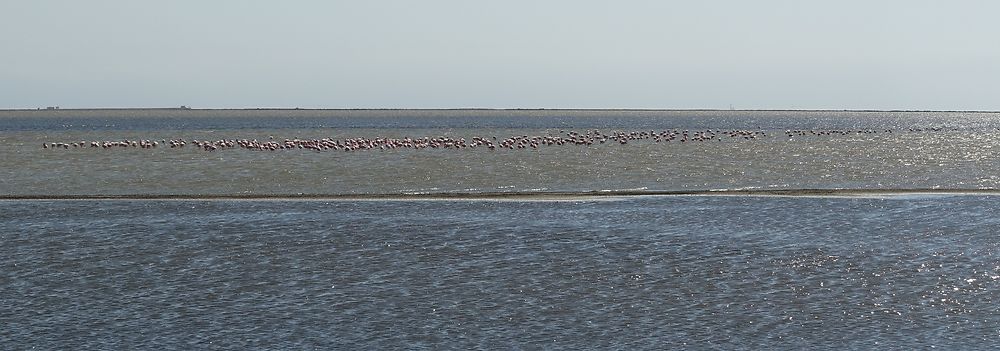 Re: Retour rapide d'un voyage magnifique en Namibie - Botswana (Chobe) - Chutes Victoria - fifi27