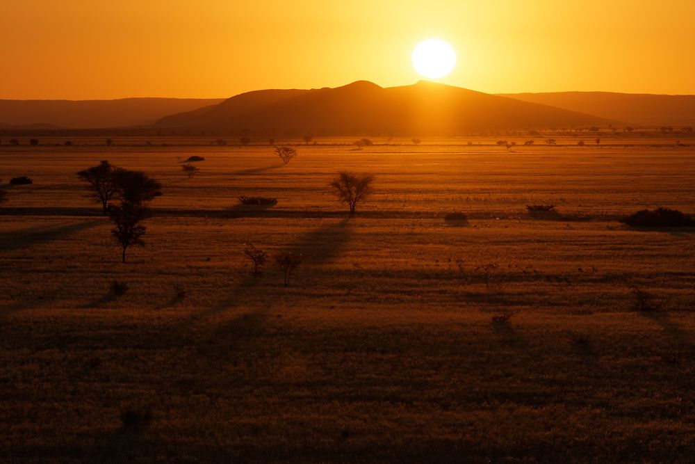 Re: Retour rapide d'un voyage magnifique en Namibie - Botswana (Chobe) - Chutes Victoria - fifi27
