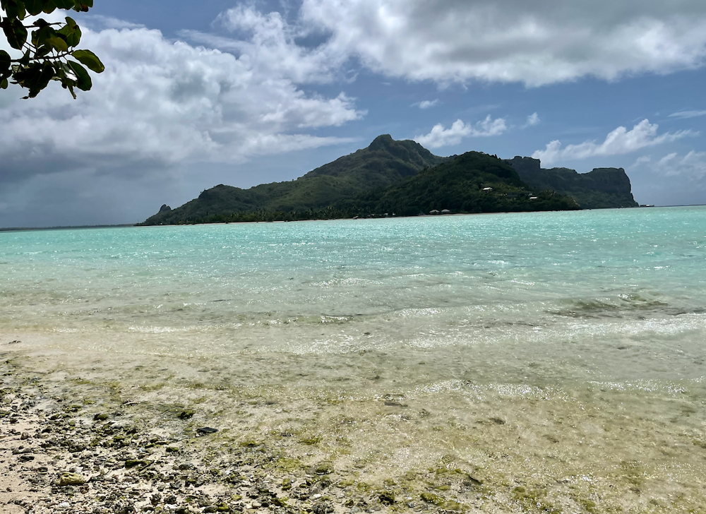 Déco Zen - Pourquoi mettre un attrape soleil de Tahiti chez vous ?