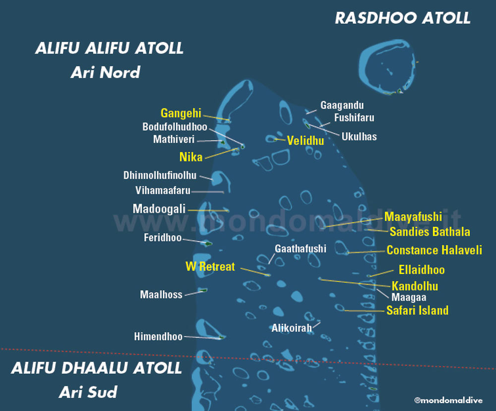 Séjour aux Maldives en Avril (spots  Mantas et Requins Baleine  sur Ari Atoll) - Philomaldives Guide Safaris