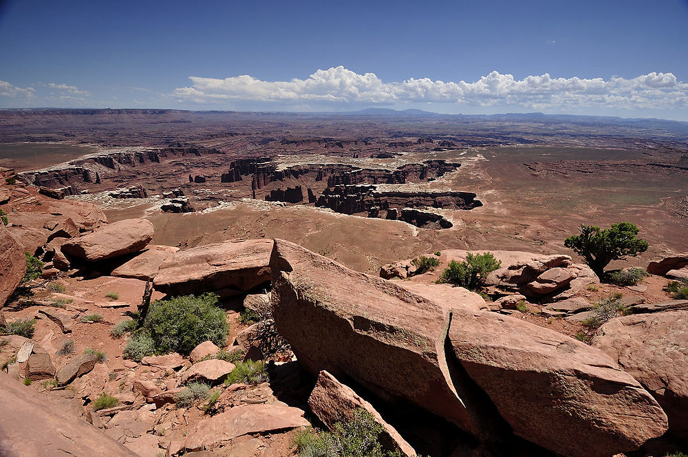 Mardi 4 août : Canyonlands Island in the Sky (suite) - darth