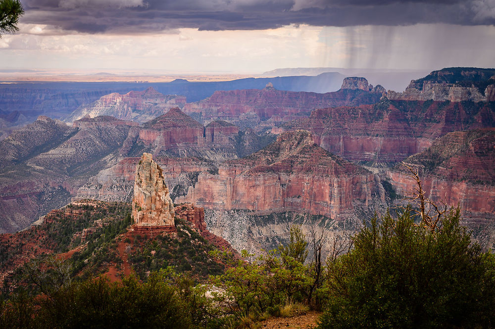 Jeudi 11 août (suite) : Grand Canyon North Rim - darth