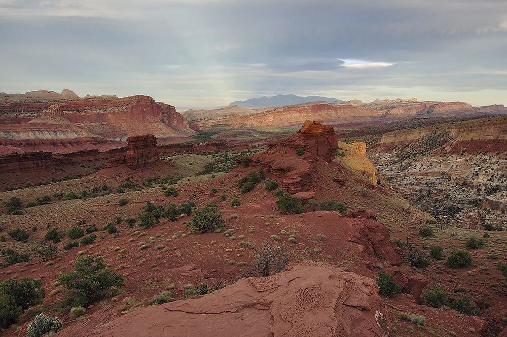 Mercredi 5 août : (suite) Capitol Reef - darth