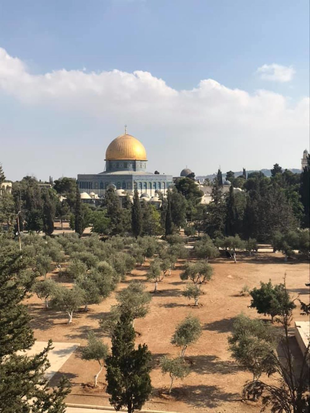 Re: Dix jours en Israël (septembre 2019) - Delfto