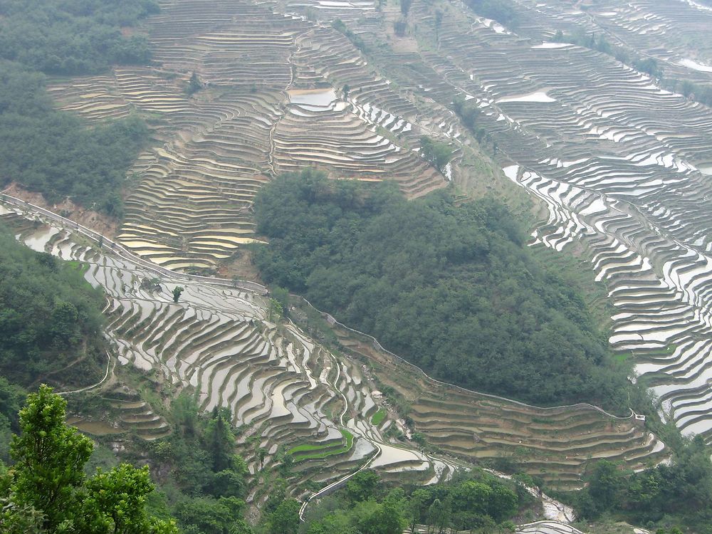 Re: Climat et itinéraire Yunnan juin (Chine) - yensabai