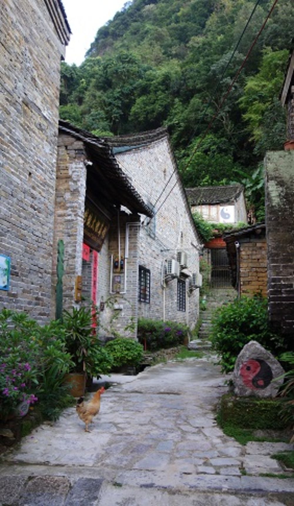 Voyage en Chine : Yangshuo – Dazhai – Fenghuang – Dehang – Zhangjiajie – Beijing – Huashan – Chengdu – Shunan zhuhai – Leshan – Emeishan (Première partie) - Meli