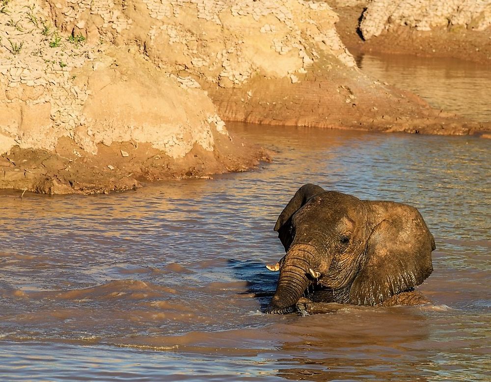 Namibie Juin 2018 - Un Voyage Fabuleux ( suite) - Iznogoed