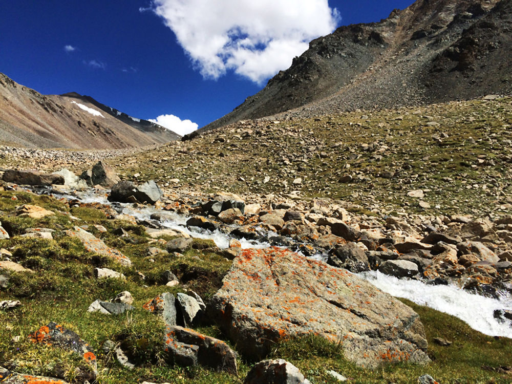 Retour d’un magnifique trek peu fréquenté au Ladakh: de Saboo à Rongjok (Nubra) via Digar La (5400m) - Mat012