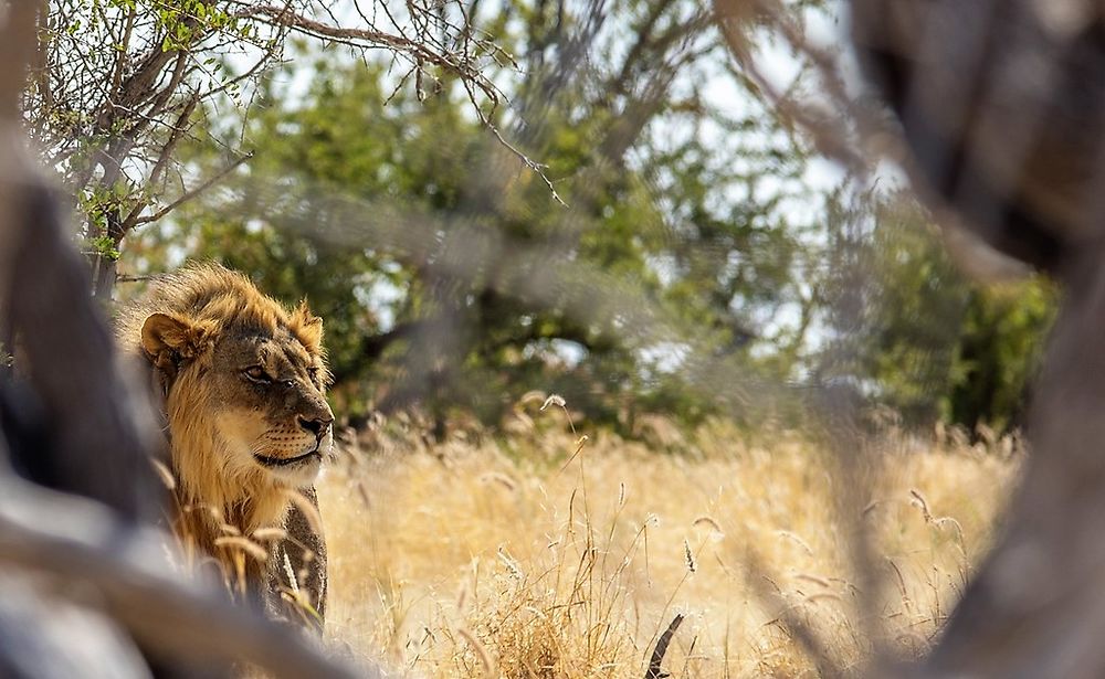 Re: Namibie Juin 2018 - Un Voyage Fabuleux ( suite & fin) - Iznogoed