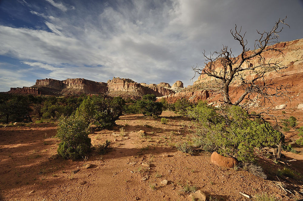 Mercredi 5 août : (suite) Capitol Reef - darth