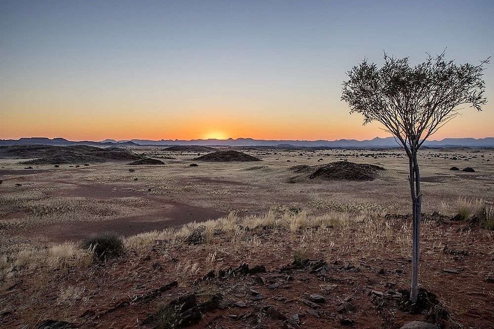 Namibie Juin 2018 - Un Voyage Fabuleux ( suite) - Iznogoed