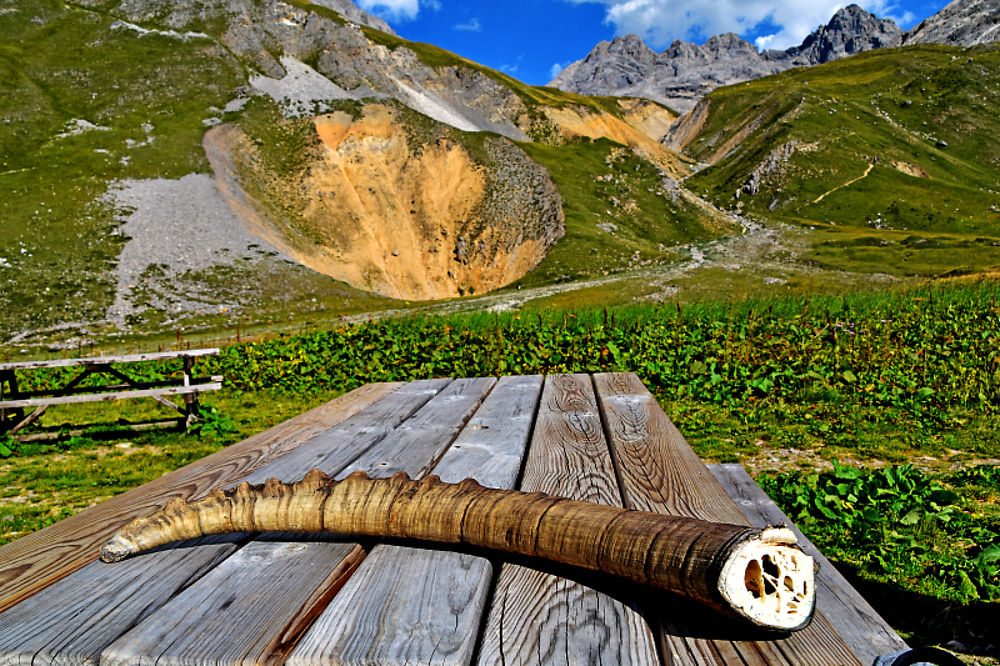 Les Balcons de la Vanoise - Philippe Manaël