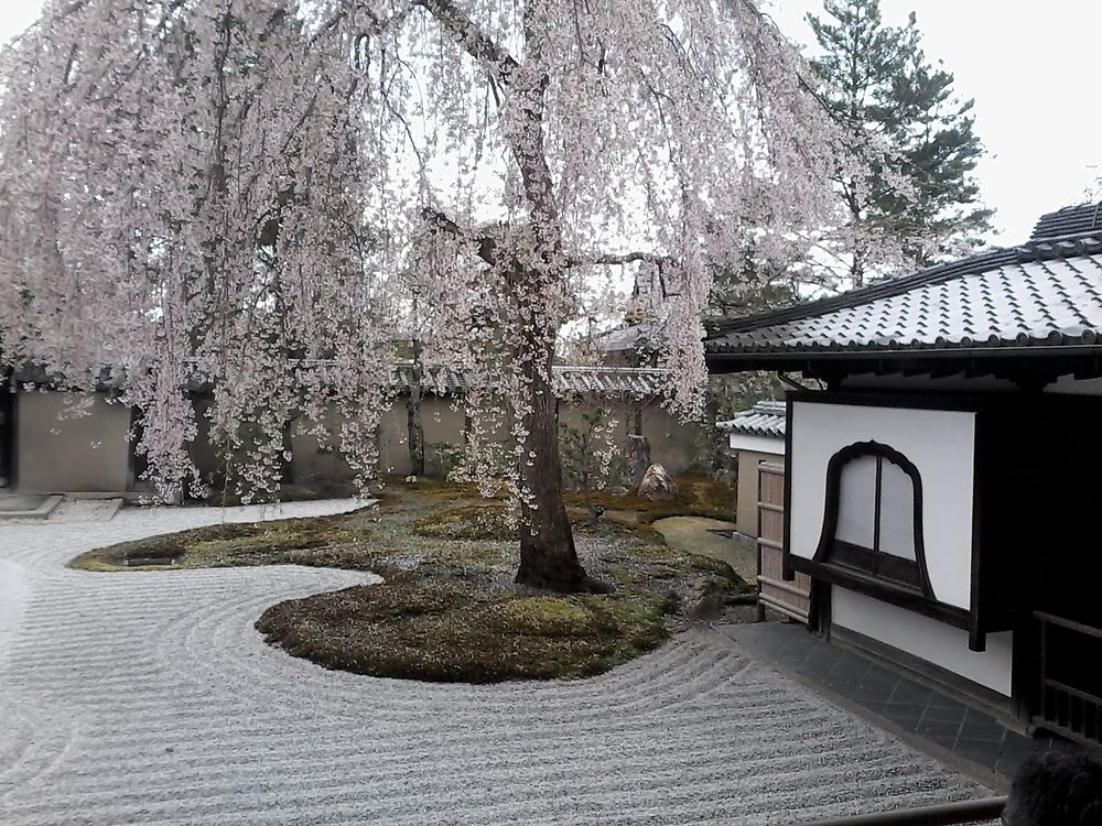 Re: Notre premier voyage au Japon (16 jrs) - quinqua voyageuse
