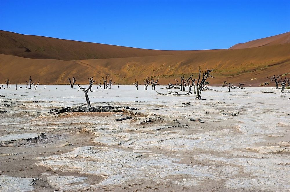 Re: Namibie Juin 2018 - Un Voyage Fabuleux ( suite & fin) - Iznogoed